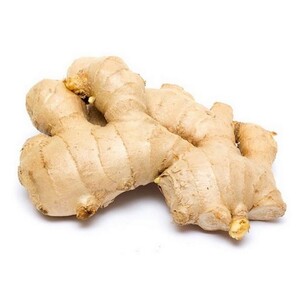 109-GINGER