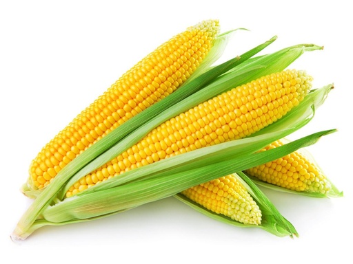 [301] 128-FRESH CORN