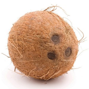 [635] 250-COCONUT FRESH